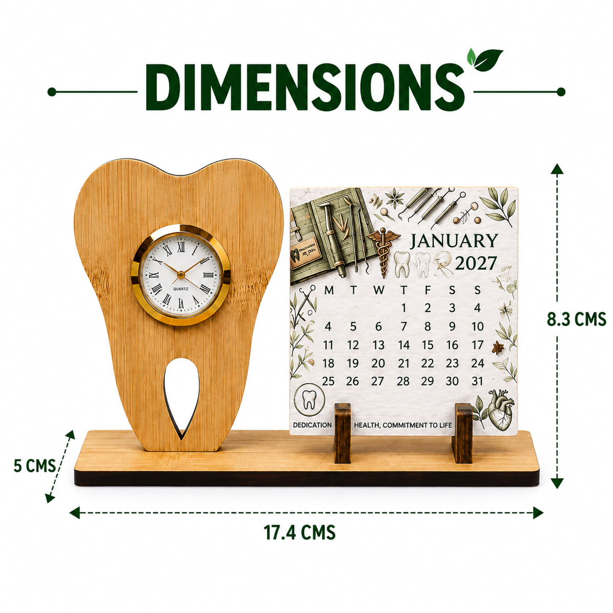 Bamboo Tooth-Shaped Watch with Seed Paper Calendar | Dentist & Dental Student Gift