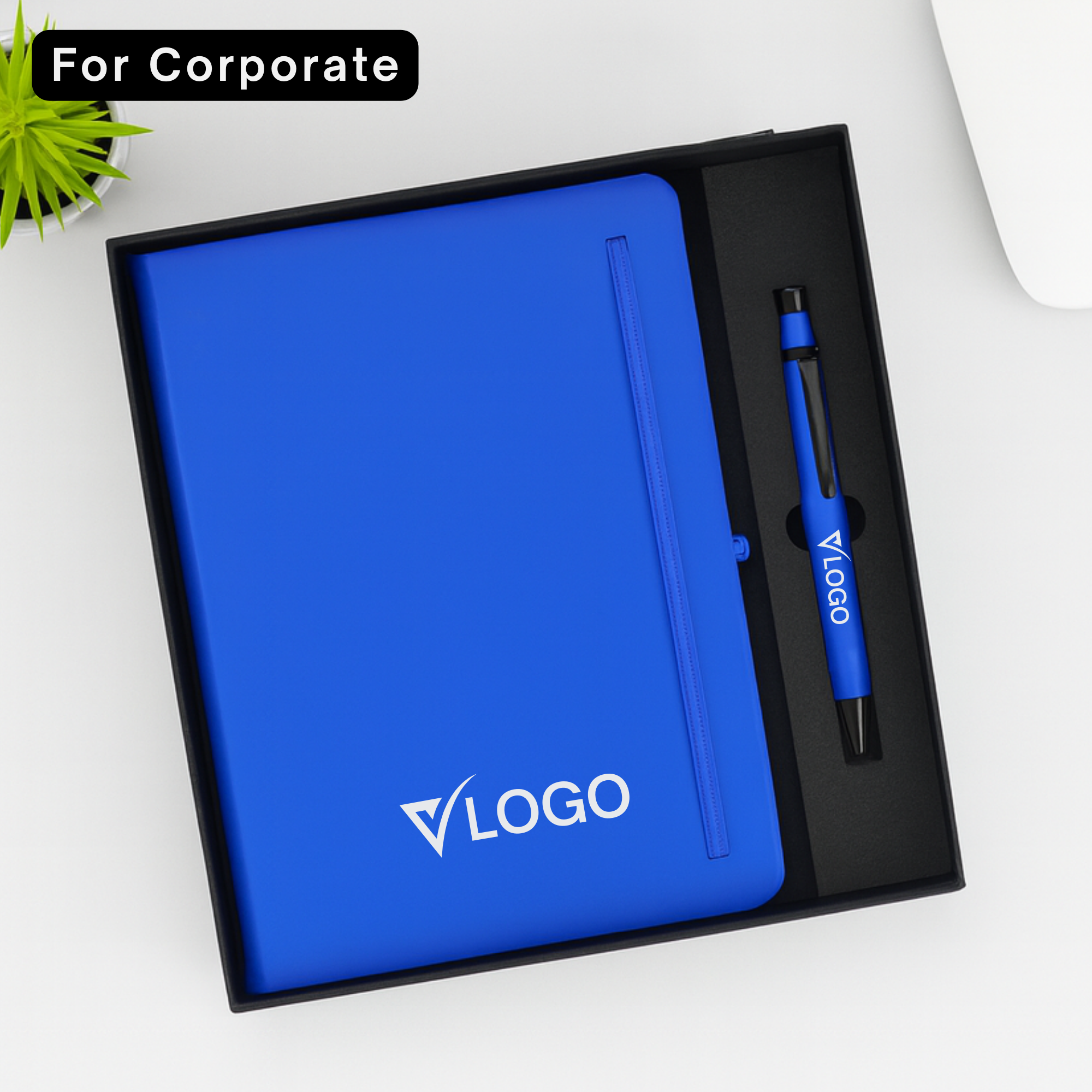 Professional 2-in-1 Diary & Pen Set