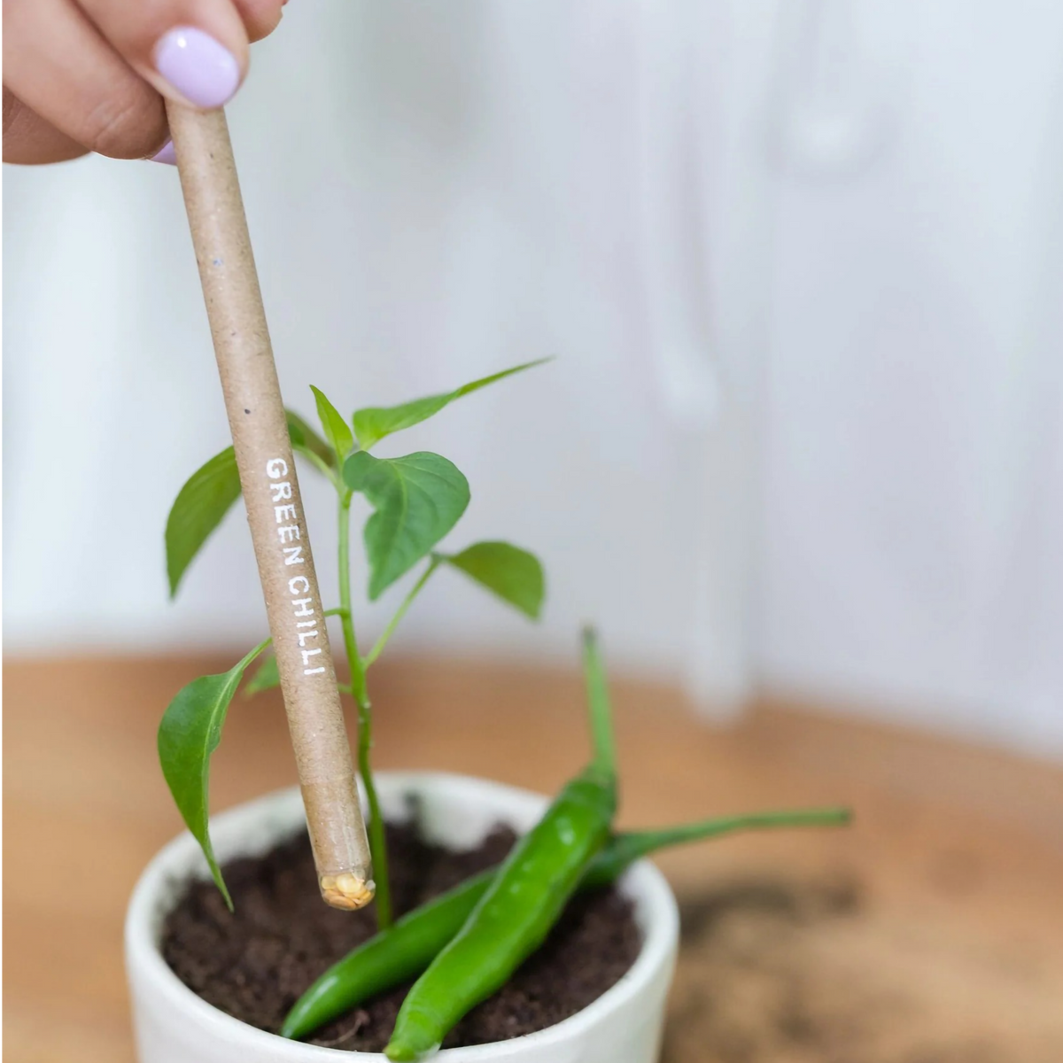 Plantable Seed Pen | Multicolor Recycled Paper Eco-Friendly Pen