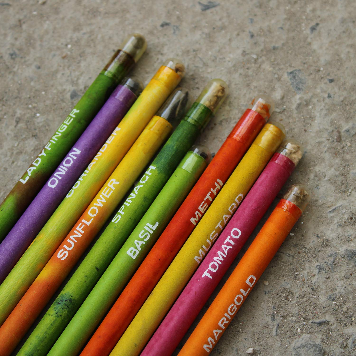 Plantable Seed Pencil | 2B Extra Dark Recycled Paper Eco-Friendly Corporate Gift